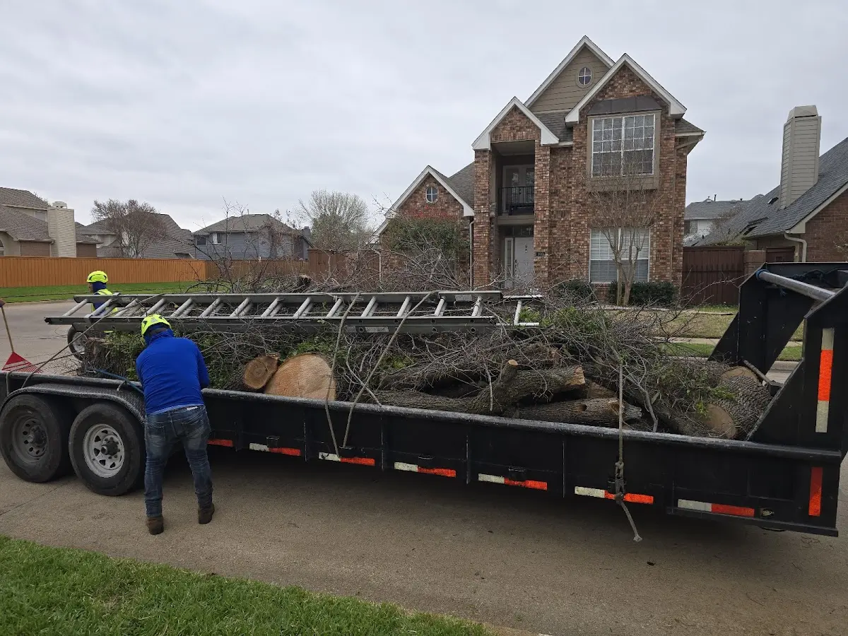Expert Tree Fertilization with proper safety equipment in Newton Falls